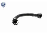 VAICO Reparatursatz, Kurbelgehäuseentlüftung EXPERT KITS + v103246 Zylinderkopf für VAG Audi VW SEAT