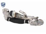 VEMO Kühler, Abgasrückführung v25630076 für Ford
