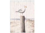 Wandbild OTTO HOME "Möwe mit Holzoptik", weiß (farbe bild(er): weiß), B:60cm H:80cm T:1cm, Alu Dibond, Bilder, Wandbild