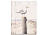 Wandbild OTTO HOME "Möwe mit Holzoptik", farbe bild(er): weiß, B:60cm H:80cm T:2cm, Canvas, Bilder, Wandbild