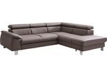 Ecksofa COTTA "Komaris L-Form, B: 249 cm", braun (elefant), B:249cm H:72cm T:100cm, Microfaser PRIMABELLE (100% Polyester);Kunstleder SOFTLUX;Feinstruktur (100% Polyester);Kunstleder SOFTLUX/Struktur (100% Polyester);NaturLEDER, Sofas, Ecksofa, mit Kopfteilverstellung, optional Bettfunktion, Bettkasten & Licht