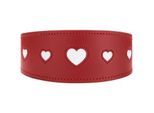 Dog Sport HUNTER Windhundhalsband love rot S