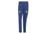 Adidas ajax tt pnt replica trainingsbroek voetbal dames