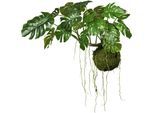 Kunstpflanze CREATIV GREEN "Splitphilodendron", grün, B:120cm H:80cm, Kunststoff, Kunstpflanzen, Kunstpflanze, Pflanze als Hänger auf Wurzel mit Farnzweigen und Luftwurzeln