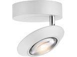 NEUHAUS PURE LED Deckenleuchte "PURE Oculis", snow, 1, Ø 15cm H: 8cm, 1 Stk., Leuchten, Dimmfähig über separaten Tronicdimmer, dreh- & schwenkbar, LED Deckenleuchte
