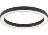 NEUHAUS PURE LED Deckenleuchte "PURE Lines Round", schwarz (graphite), 1, Ø 50cm H: 3,9cm, 1 Stk., Leuchten, Stufenlos dimmbar über Fernbedienung, CCT, LED Deckenleuchte