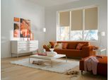 Elektrisches Rollo SUNLINES "New York", beige (sand, weiß), B:110cm H:180cm, Polyester, Rollos, Elektrisches Rollo, appgesteuert via Bluetooth, mit Motor und Akku, weißer Fallstab