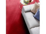Teppichboden ANDIAMO "Kira, Velours, Gesamthöhe 8 mm, Luxusklasse LC1", rot (bordeaux), B:400cm L:400cm, Kunstfaser, Teppiche, Teppichboden, Uni Farben, Breite 400 cm, strapazierfähig, pflegeleicht, Wohnzimmer