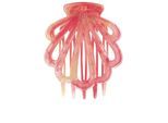 Clipstar L coral Hug
