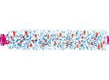BISSELL Bürstenrolle "Brushroll Multi Surface", blau (blau, rosa), B:4cm H:4cm Ø:4cm, Staubsaugerdüsen, für Crosswave-1868F, Bürstenrolle