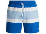 Boss Heren Rico Stripe Zwemshorts (Medium Blauw)