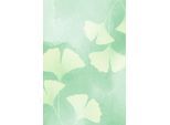 Leinwandbild QUEENCE "Gingko in Grüntönen, Canvas Bild von Hand bespannt", grün (farbe bild(er): türkis,mint,weiß), B:80cm H:120cm T:2cm, Bilder, Leinwandbild, Zeitlose Ginkgo-Motive in hellen Farben