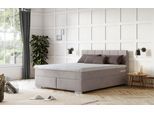 Boxspringbett COTTA "Simba erhältlich in verschiedenen Breiten, Farben und Härtegraden", beige (hellgrau), L:209cm, Komplettbetten, Boxspringbett, Bezugsstoff: Struktur fein