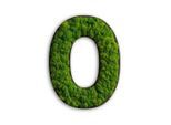 StyleGREEN , Grün , Naturmaterialien , Kork , 26x20x4 cm , einfache und schnelle Anbringung, pflegefrei – nicht gießen oder besprühen, keine Beleuchtung notwendig ,