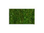 StyleGREEN , Grün , Naturmaterialien , Eiche , 100x60x7 cm , einfache und schnelle Anbringung, pflegefrei – nicht gießen oder besprühen, keine Beleuchtung notwendig ,