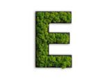 StyleGREEN , Grün , Naturmaterialien , Kork , 26x16x4 cm , einfache und schnelle Anbringung, pflegefrei – nicht gießen oder besprühen, keine Beleuchtung notwendig ,