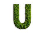 StyleGREEN , Grün , Naturmaterialien , Kork , 26x19x4 cm , einfache und schnelle Anbringung, pflegefrei – nicht gießen oder besprühen, keine Beleuchtung notwendig ,