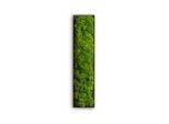 StyleGREEN Moosbild Stylegreen, Grün, Naturmaterialien, Kork, Pflanzen, 26x6x4 cm, einfache und schnelle Anbringung, pflegefrei – nicht gießen oder besprühen, keine Beleuchtung notwendig, Bilder und Zubehör, Moosbilder