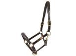 Hans Melzer Horse Equipment Hans Melzer Halfter Sahrendorf braun/messing SH (Shetlandpony)