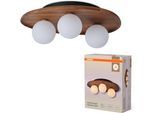 OSRAM Deckenleuchte "Decor Acacia-Wood Nest", braun, akazie, H: 15,5cm, 1 Stk., Leuchten, braun, Fassung G9, Deckenleuchte