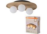 OSRAM Deckenleuchte "Decor Acacia-Wood Nest", braun, gummibaum, H: 15,5cm, 1 Stk., Leuchten, braun, Fassung G9, Deckenleuchte
