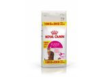 ROYAL CANIN Trockenfutter Katze, Adult, Fussy Exigent 12 kg