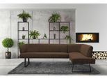 Eckbank EXXPO - SOFA FASHION "Americano", braun (chocco), B:249cm H:83cm T:157cm, Sitzbänke, Eckbank, mit Keder und Metallfüßen, Bezug in verschiedenen Qualitäten