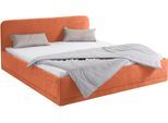 Polsterbett, orange (terrafarben), B:170cm L:210cm, Bezug Bett: wahlweise Microfaser (100% Polyester), Strukturstoff (77% Polyester, 23% Viskose) oder Kunstleder;Bonnell-Federkernmatratze: Mischgewebe (51% Polyprophlen, 39% Polyester, 10% Baumwolle);Kaltschaummatratze: Frottee (100% Polyester), Bezug abnehm- und waschbar bis 60C, WESTFALIA SCHLAFKOMFORT, Betten, Polsterbett, inkl. Bettkasten bei A