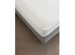 Spannbettlaken KAYORI "Tara", beige (natur), B:160cm L:220cm, Jersey-Elasthan, Obermaterial: 95% Baumwolle, 5% Elasthan (LYCRA), Bettlaken, Spannbettlaken, Hergestellt aus GOTS-zertifizierter Bio-Baumwolle