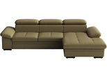 Ecksofa SIT & MORE "Viola, Leder, L-Form, B: 260 cm, mit Armteil- und Kopfteilvertsellung", braun (olive), B:260cm H:73cm T:174cm, Sofas, Ecksofa, optional mit Schlaffunktion