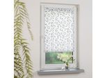 Plissee LIEDECO "Klemmfix-Plissee verspannt, Druck Blätter", weiß, schwarz, B:80cm H:210cm, Plissees, Bedrucktes Plissee mit Blattmotiv