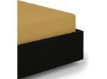 Spannbettlaken HECKETT & LANE "Elementi", gold (amber, gold), B:90cm L:200cm, Mako-Satin, Obermaterial: 100% Baumwolle, Bettlaken, Spannbettlaken, Laken aus 100% Baumwolle, hochwertiges Mako-Satin, Betttuch ab 90x200