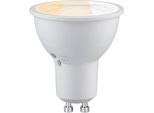 PAULMANN LED-Leuchtmittel "450lm 3CCT DipSwitch 50 4,6W 230V", Energieeffizienz: E (A-G), weiß (signalweiß), Ø:5cm, Leuchtmittel, White Select