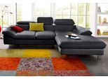 Ecksofa COTTA "Driver L-Form, B: 268 cm, moderne Couch mit Wellenunterfederung, Leder", schwarz, Sofas, B/H/T: 268cm x 73cm x 169cm, Leder BEEFY, Recamiere rechts,mit Kopfteilverstellung,ohne Bettfunktion und Bettkasten, LEDER BEEFY (ein abgedecktes Spalt-Rindsleder) im Sitz und Rücken (Korpus in Kunstleder);Luxus-Kunstleder;Kunstleder SOFTLUX;Leder Pampas (echtes Rindsleder), Rückseite mit schwar