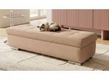 Hocker OTTO HOME "Torrnby, 161 cm breit, extra groß mit großem Staufach", beige (altrosa), Hocker, B/H/T: 161cm x 41cm x 60cm, Chenille-Optik, 100% Polyester, Hocker, aus Luxus-Microfaser oder haustierfreundlichem Pet Friendly Bezug, B:161cm H:41cm T:60cm