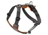 Hunter Geschirr Aalborg Mixed cognac XS-S