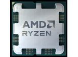 AMD Prozessor "Ryzen 7 7700", silber (silberfarben), B:40mm H:6,5mm T:40mm, Prozessoren
