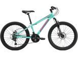 Jugendfahrrad BIKESTAR Gr. 33, grün, Fahrräder, Kinder, 33cm, 24 Zoll (60,96cm)