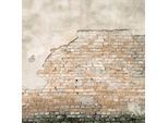 Fototapete SUPERFRESCO EASY "Dublin", beige (beige, rot), B:3m L:3m, Vlies, Tapeten, 300 cm Länge