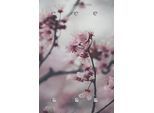 Garderobenleiste QUEENCE "Blumen", rosa, B:80cm H:120cm T:5cm, Acrylglas, Edelstahl, Garderobenhalter, mit 6 Haken, 80 x 120 cm