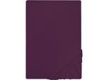 Spannbettlaken "Jersey in Gr. 90x200, 140x200 oder 180x200 cm", lila (dunkelviolett), L:200cm, Jersey, Obermaterial: 100% Baumwolle, CASTELL - MARKENBETTWÄSCHE, Bettlaken, Spannbettlaken, aus Baumwolle, für Matratzen bis 22 cm Höhe, Bettlaken, Spannbetttuch