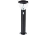 LED Sockelleuchte BRILLIANT "Tulip", schwarz, H:52cm Ø:16cm, Leuchten, LED Außenleuchte, Solar, 52 cm, 430 lm, 3000 K, Edelstahl, schwarz