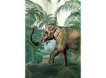 Fototapete SUPERFRESCO EASY "Elefant", bunt (mehrfarbig), B:2m L:2,8m, Vlies, Tapeten, 280x200cm