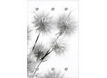 Garderobenleiste QUEENCE "Pusteblume", weiß, B:80cm H:120cm T:5cm, Acrylglas, Edelstahl, Garderobenhalter, mit 6 Haken, 80 x 120 cm