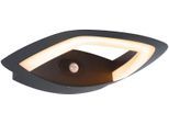 LED Außen-Wandleuchte PAULMANN "Outdoor 230V Akena PIR Insect Freindly anthrazit", grau (anthrazit), B:24,3cm H:7cm T:25,4cm, Leuchten, Insektenfreundlich