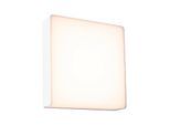 LED Außen-Wandleuchte PAULMANN "Azalena IP44 250x97mm 3000K 8,5W 700lm 230V Kunststoff, Aluminium", weiß, B:25cm H:25cm T:9,7cm, Leuchten, Bewegungsmelder mit Hochfrequenz-Sensor IP44