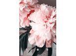 Garderobenleiste QUEENCE "Blume", rosa, B:80cm H:120cm T:5cm, Acrylglas, Edelstahl, Garderobenhalter, mit 6 Haken, 80 x 120 cm