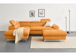 Ecksofa COTTA "Chef L-Form, B: 257cm, Leder, inkl. Kopfteilverstellung", orange (amber), B:257cm H:72cm T:206cm, Luxus-Microfaser (100% Polyester);Kunstleder Softlux;Leder Advantage (abgedecktes Spalt-Rindsleder), Rückseite mit schwarzem Spannstoff bezogen;NaturLEDER (echtes Rindsleder), Rückseite mit schwarzem Spannstoff bezogen, Sofas, Ecksofa, optional mit Schlaffunktion, moderner Kufenfuß H 12