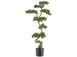 Kunstbonsai CREATIV GREEN "Bonsai Kiefer", grün, B:50cm H:125cm, Kunststoff, Kunstpflanzen, Kunstbonsai, mit elegantem Stamm