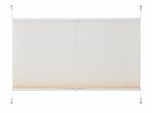 Plissee OTTO HOME "LAHOLM" Gr. 9, beige (creme), B:120cm H:130cm, Obermaterial: 100% Polyester, Plissees, Plissee, Fixmaß, Bestseller mit über 4000-Bewertungen, für Fenster & Tür